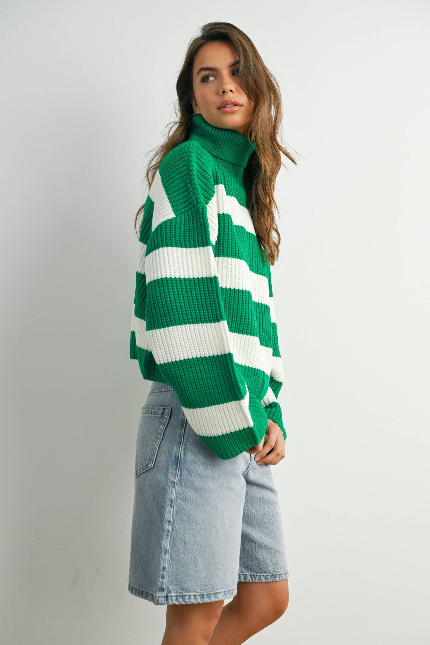 Striped Turtleneck Pullover Sweater - BMW7480