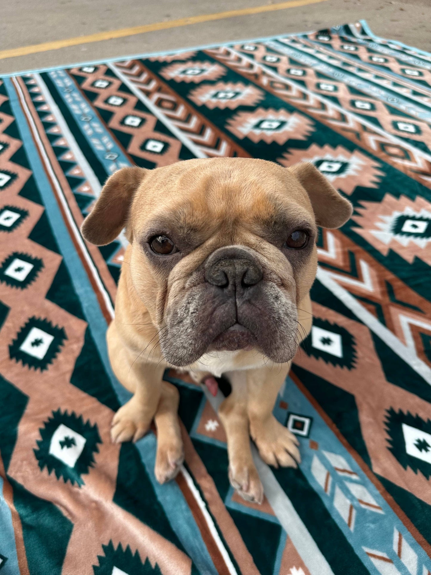 Green & Tan Southwest Aztec King Size Super Plush Blanket