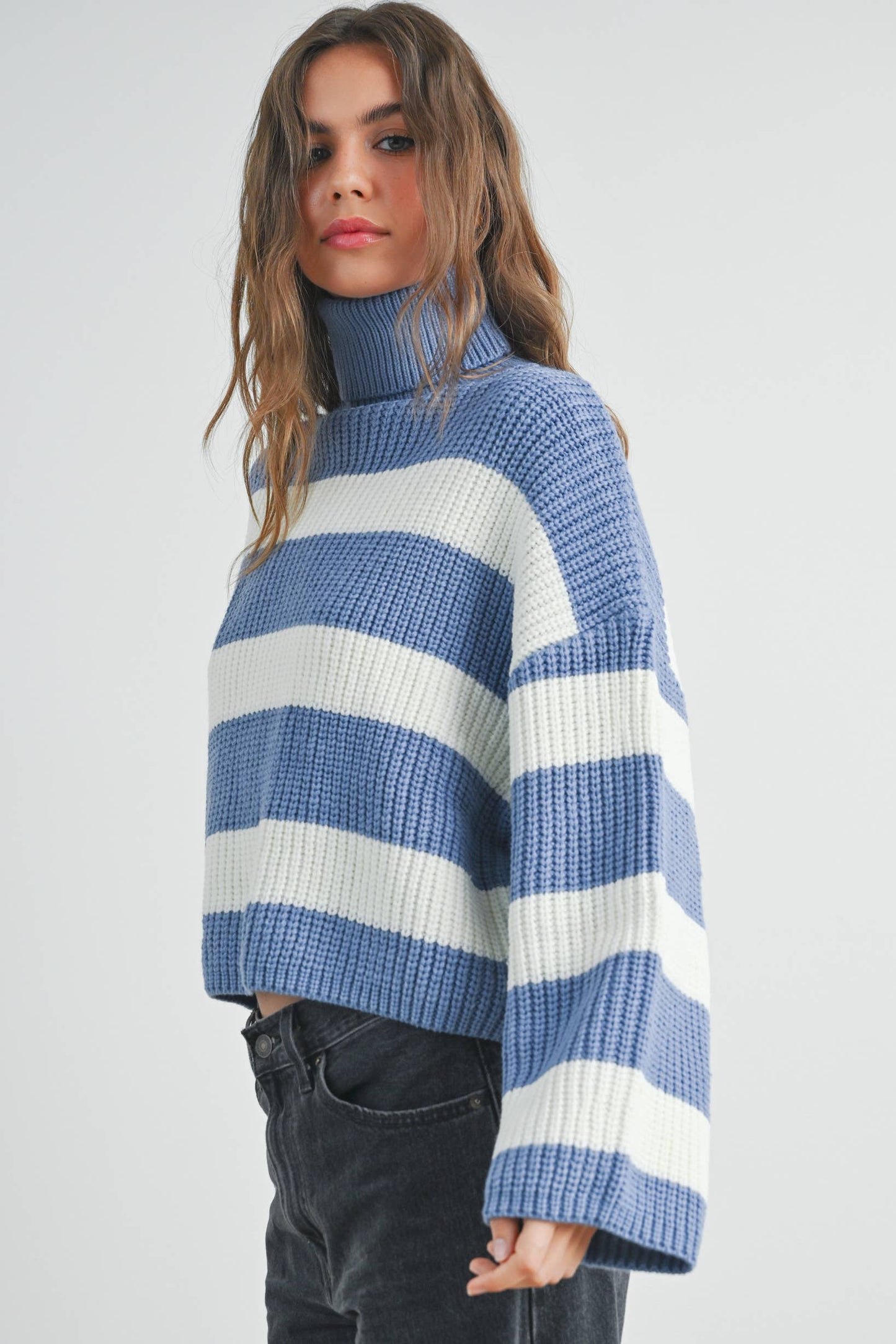 Striped Turtleneck Pullover Sweater - BMW7480