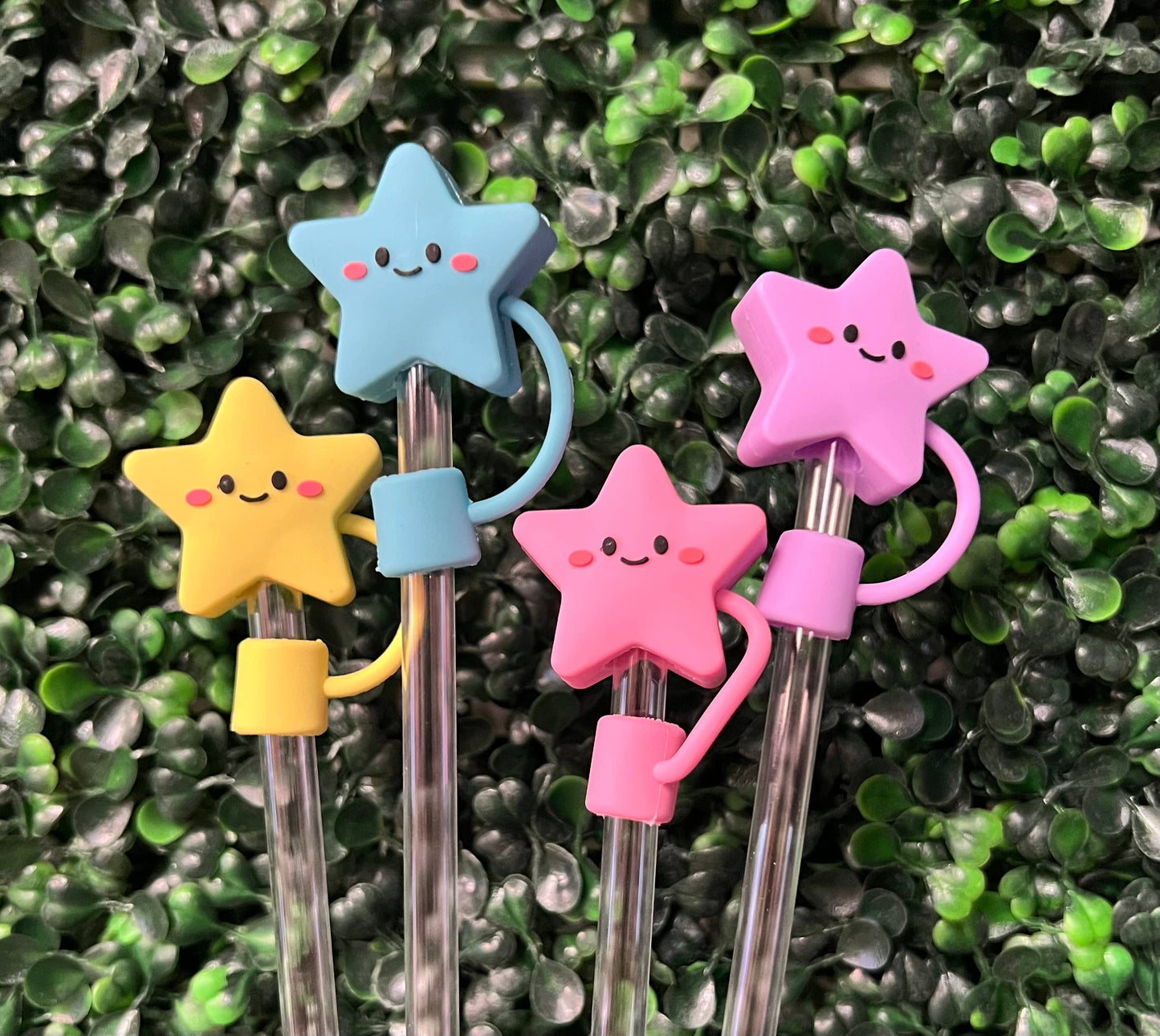 Assorted Straw Toppers