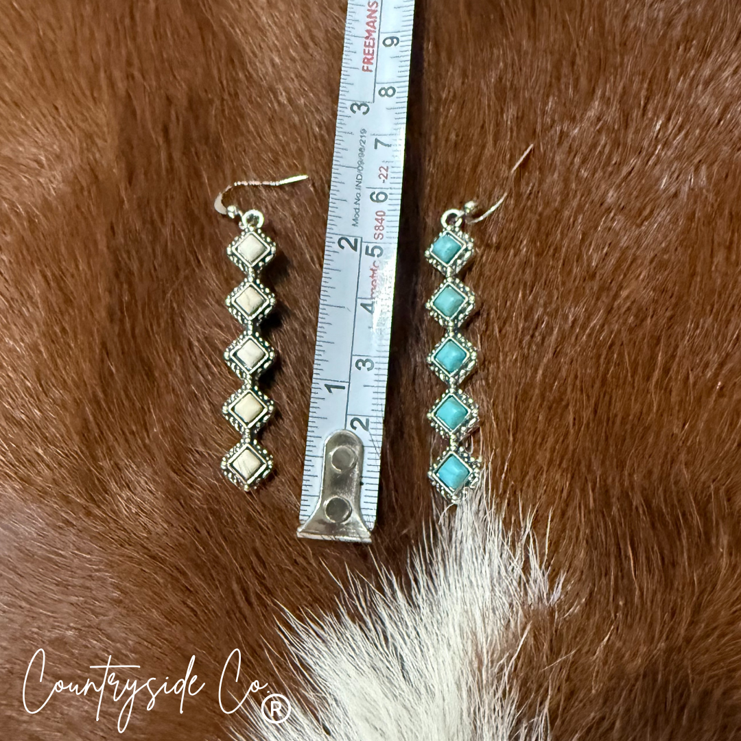 Princess Drop Earrings in Turquoise and Natural Stone