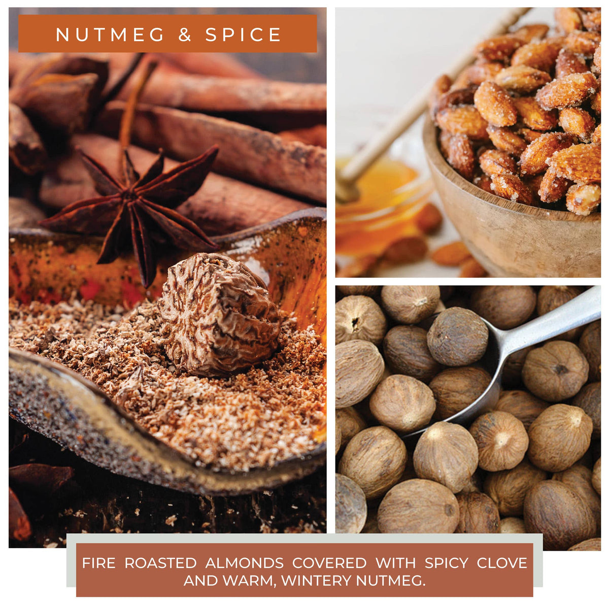 Nutmeg & Spice – 6oz Fall Scented Jar Candle Gift